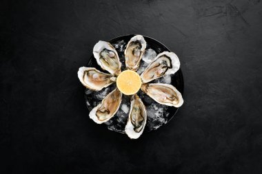 Bir tabak buz ve limon içinde taze istiridye. Deniz ürünleri. Üst görünüm. Ücretsiz kopya alanı.