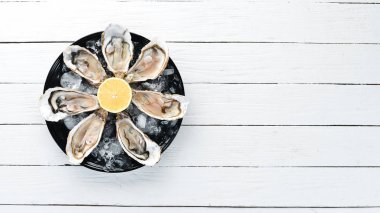 Bir tabak buz ve limon içinde taze istiridye. Deniz ürünleri. Üst görünüm. Ücretsiz kopya alanı.