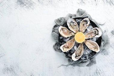 Bir tabak buz ve limon içinde taze istiridye. Deniz ürünleri. Üst görünüm. Ücretsiz kopya alanı.