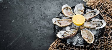 Bir tabak buz ve limon içinde taze istiridye. Deniz ürünleri. Üst görünüm. Ücretsiz kopya alanı.