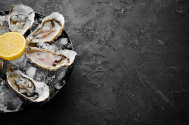 Bir tabak buz ve limon içinde taze istiridye. Deniz ürünleri. Üst görünüm. Ücretsiz kopya alanı.