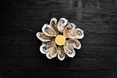 Bir tabak buz ve limon içinde taze istiridye. Deniz ürünleri. Üst görünüm. Ücretsiz kopya alanı.