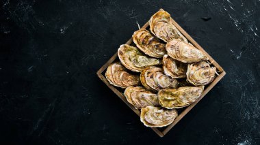 Taze kapalı istiridye. Deniz ürünleri siyah taş arka planda. Üst görünüm. Ücretsiz kopya alanı.
