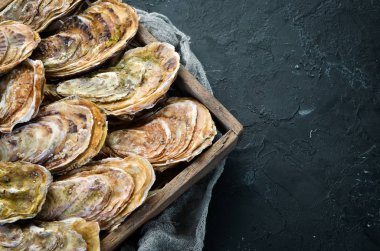 Taze kapalı istiridye. Deniz ürünleri siyah taş arka planda. Üst görünüm. Ücretsiz kopya alanı.