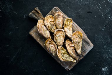 Taze kapalı istiridye. Deniz ürünleri siyah taş arka planda. Üst görünüm. Ücretsiz kopya alanı.