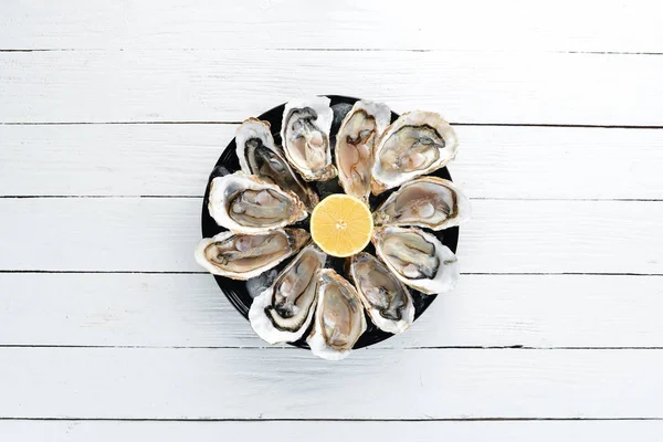 Fresh oysters in a plate of ice and lemon. Seafood. Top view. Free copy space.