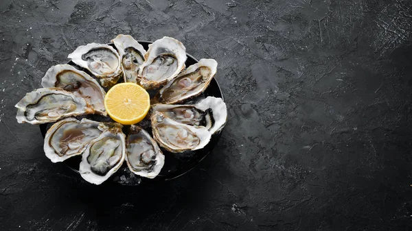 Färska Ostron Tallrik Med Och Citron Skaldjur Topp Fritt Kopierings — Stockfoto