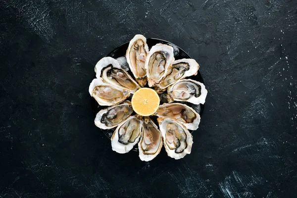 Fresh oysters in a plate of ice and lemon. Seafood. Top view. Free copy space.