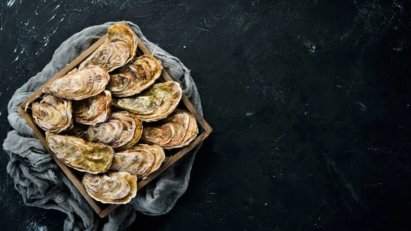 Taze kapalı istiridye. Deniz ürünleri siyah taş arka planda. Üst görünüm. Ücretsiz kopya alanı.