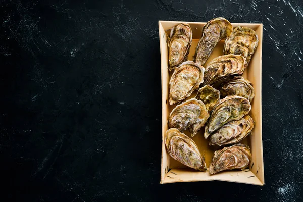 Taze kapalı istiridye. Deniz ürünleri siyah taş arka planda. Üst görünüm. Ücretsiz kopya alanı.