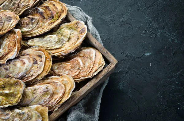 Taze kapalı istiridye. Deniz ürünleri siyah taş arka planda. Üst görünüm. Ücretsiz kopya alanı.