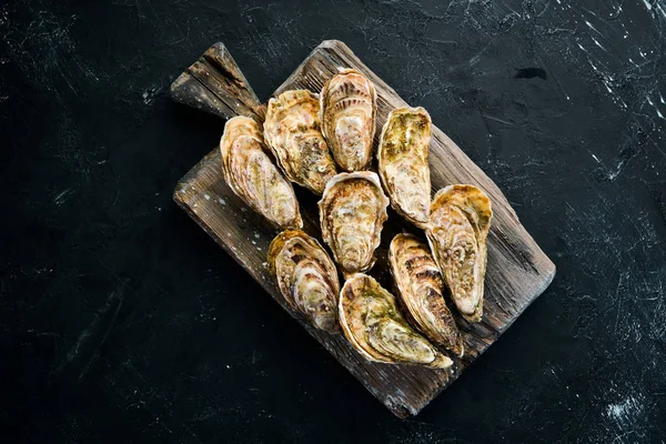 Taze kapalı istiridye. Deniz ürünleri siyah taş arka planda. Üst görünüm. Ücretsiz kopya alanı.