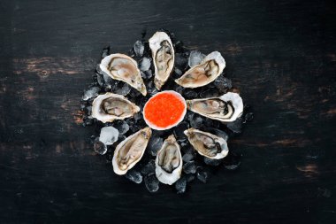 Bir tabak buz ve limonda istiridye ve kırmızı havyar. Deniz ürünleri. Üst te. Ücretsiz kopyalama alanı.