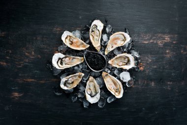 Bir tabak buz ve limonda istiridye ve siyah havyar. Deniz ürünleri. Üst te. Ücretsiz kopyalama alanı.