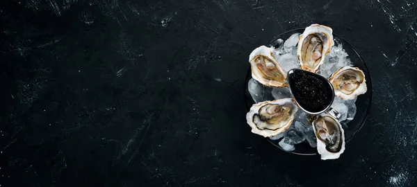 Oesters Zwarte Kaviaar Een Plaat Van Ijs Citroen Zeevruchten Bovenaanzicht — Stockfoto