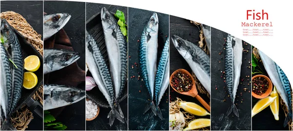 Foto Collage Vis Makreel Specerijen Een Zwarte Achtergrond — Stockfoto
