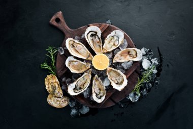 Beyaz ahşap arka planda buz ve limon ile istiridye. Deniz ürünleri. Üst te. Ücretsiz kopyalama alanı.