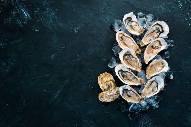 Beyaz ahşap arka planda buz ve limon ile istiridye. Deniz ürünleri. Üst te. Ücretsiz kopyalama alanı.