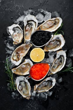 Beyaz ahşap arka planda buz ve limon ile istiridye. Deniz ürünleri. Üst te. Ücretsiz kopyalama alanı.