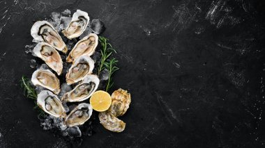 Beyaz ahşap arka planda buz ve limon ile istiridye. Deniz ürünleri. Üst te. Ücretsiz kopyalama alanı.