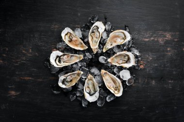 Beyaz ahşap arka planda buz ve limon ile istiridye. Deniz ürünleri. Üst te. Ücretsiz kopyalama alanı.