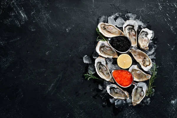 Beyaz ahşap arka planda buz ve limon ile istiridye. Deniz ürünleri. Üst te. Ücretsiz kopyalama alanı.