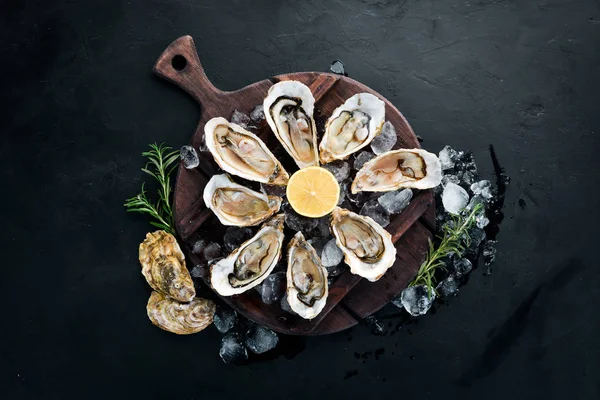 Beyaz ahşap arka planda buz ve limon ile istiridye. Deniz ürünleri. Üst te. Ücretsiz kopyalama alanı.