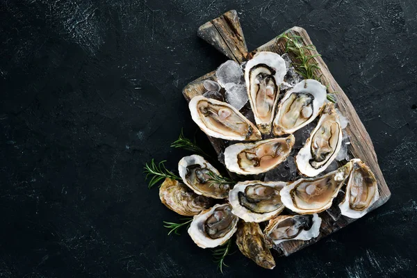 Beyaz ahşap arka planda buz ve limon ile istiridye. Deniz ürünleri. Üst te. Ücretsiz kopyalama alanı.