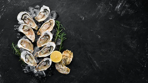 Beyaz ahşap arka planda buz ve limon ile istiridye. Deniz ürünleri. Üst te. Ücretsiz kopyalama alanı.