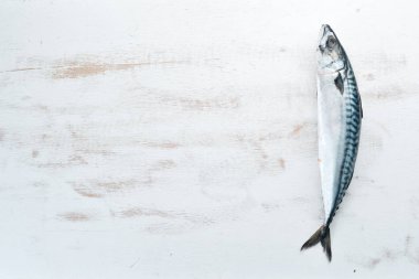 Beyaz ahşap arka plan üzerinde uskumru. Çiğ balık Üst görünüm. Ücretsiz kopyalama alanı.
