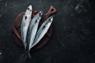 Taş arka planda çiğ uskumru. Balık ve deniz ürünleri. Üst te. Ücretsiz kopyalama alanı.