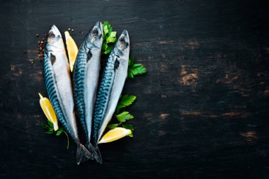 Balık. Ham Uskumru siyah ahşap bir arka plan üzerinde. Üst te. Ücretsiz kopyalama alanı.