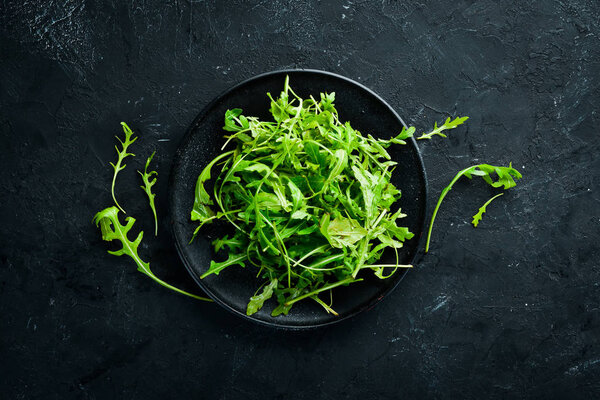 Arugula in a plate. Top view. Free space for your text.