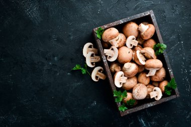Eski masadaki tahta kutuda mantarlar. Champignons Üst görünüm. Ücretsiz kopyalama alanı.