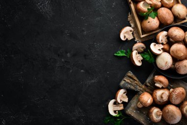 Siyah taş zemin üzerinde mantarlar. Champignons Üst görünüm. Ücretsiz kopyalama alanı.