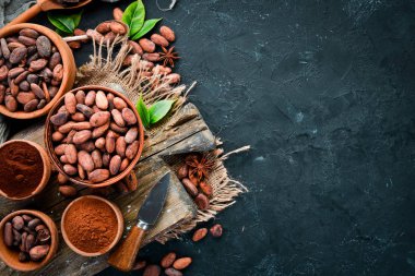 Kakao çekirdekleri, kakao tozu koyu ve açık. Beyaz bir arka plan üzerinde. Üstte görüntü.