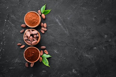 Kakao çekirdekleri, kakao tozu koyu ve açık. Beyaz bir arka plan üzerinde. Üstte görüntü.