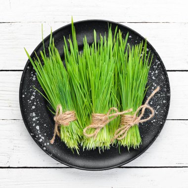 Yeşil filizlenmiş buğday. Mikro Yeşil. Sağlıklı yiyecekler. Üst te. Metniniz için boş alan.