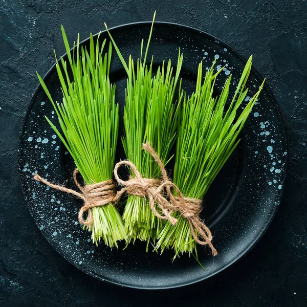 Grön Grodda Vete Micro Green Hälsosam Mat Översta Vyn Ledigt — Stockfoto