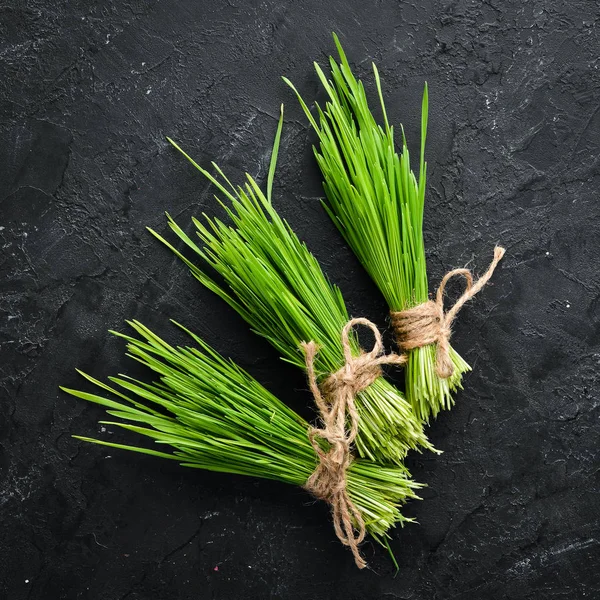 緑の発芽小麦 マイクログリーン健康的な食べ物 トップビュー テキストの空き領域 — ストック写真