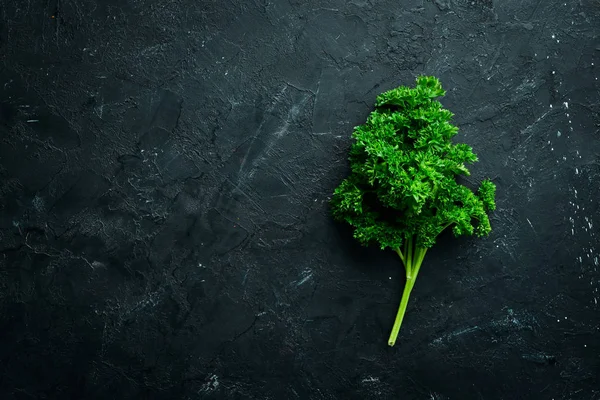 Prezzemolo Verde Fresco Spezie Erbe Aromatiche Uno Sfondo Pietra Nera — Foto Stock