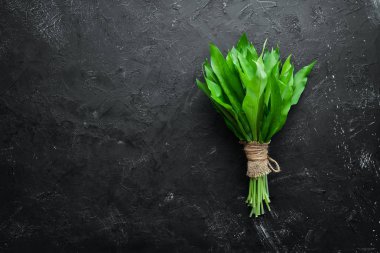 Siyah arka planda taze yabani sarımsak yaprakları. Yabani pırasa. Üst te. Metniniz için boş alan.