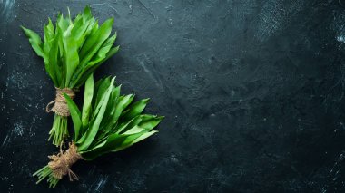 Siyah arka planda taze yabani sarımsak yaprakları. Yabani pırasa. Üst te. Metniniz için boş alan.