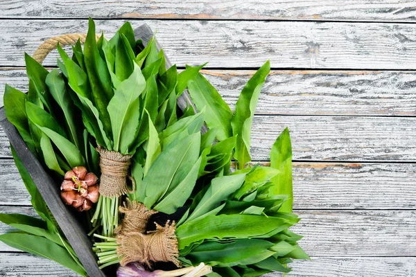 Verse Jonge Wilde Knoflook Bladeren Een Witte Houten Achtergrond Bovenaanzicht — Stockfoto