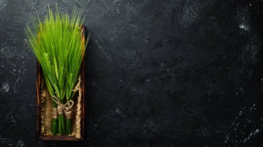 Tahta bir kutuda yeşil çavdar. Ahşap bir arka plan üzerinde. Üst te. Metniniz için boş alan.