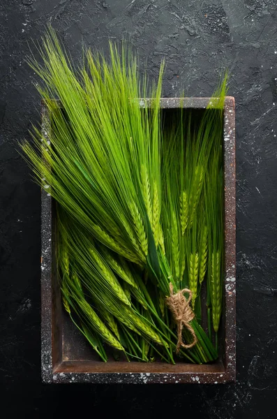 木箱に緑のライ麦 木製の背景にトップビュー テキストの空き領域 — ストック写真