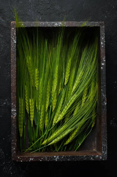 Groene Rogge Een Houten Kist Een Houten Achtergrond Bovenaanzicht Vrije — Stockfoto