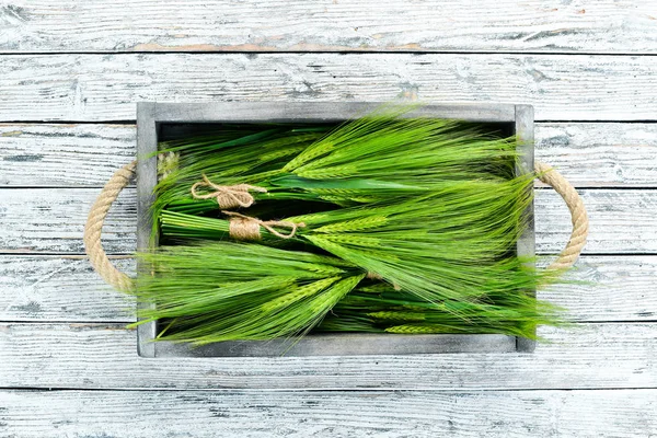 Green rye in a wooden box. On a wooden background. Top view. Free space for your text.