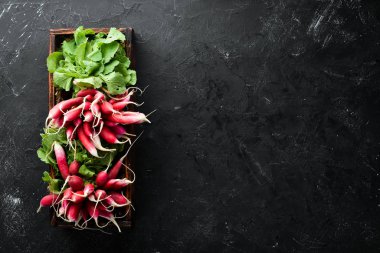 Siyah taş arka planda taze turp. Kırmızı turp üst görünümü.