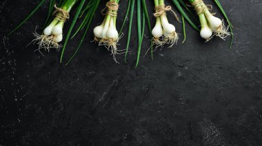 Siyah taş arka planda taze yeşil soğan. Taze sebzeler. Üst görünüm. Metin için boş alan.
